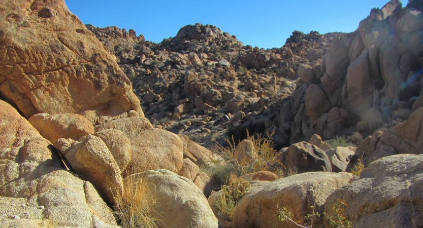 Shrubs jut out of extremely rocky and elevated terrain in Joshua Tree National Park.